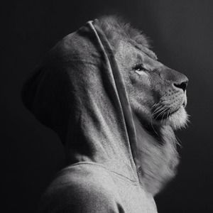 Meet your Posher, Gervai